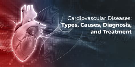 medical study of the heart word hike|Cardiovascular diseases (CVDs) .